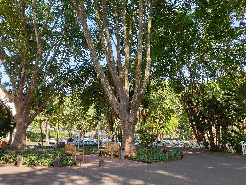 Holiday Inn - Johannesburg Sunnyside Park By Ihg Екстериор снимка